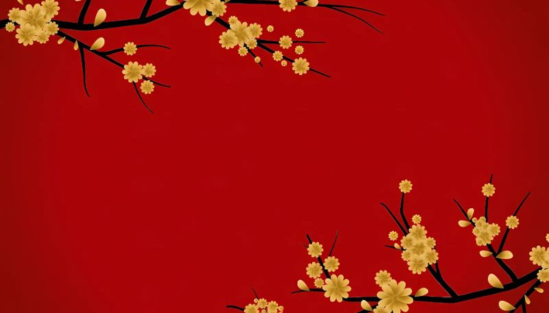 Background hoa Mai