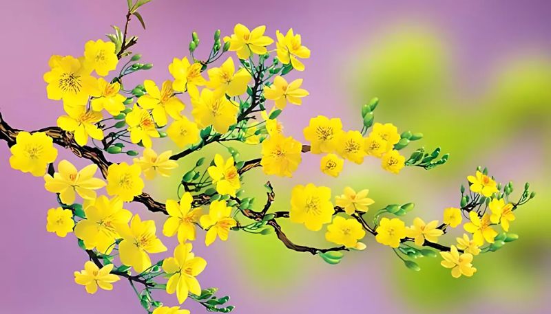 Hình nền hoa Mai Full HD