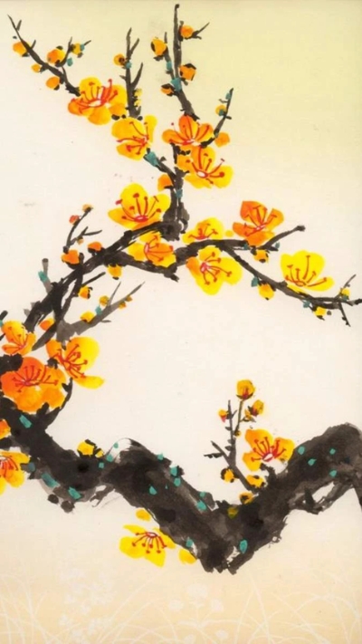 Hình nền hoa Mai ngày Tết