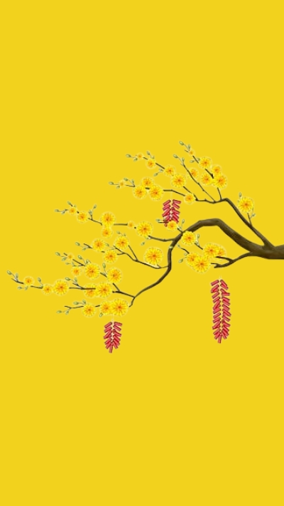 Hình nền hoa Mai ngày Tết