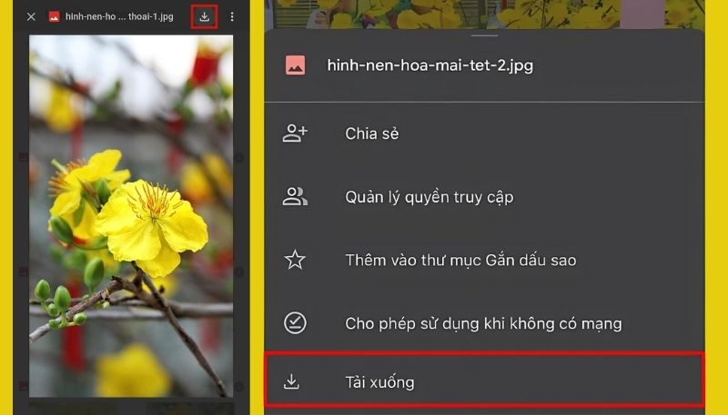 Tải hình nền hoa Mai cho điện thoại