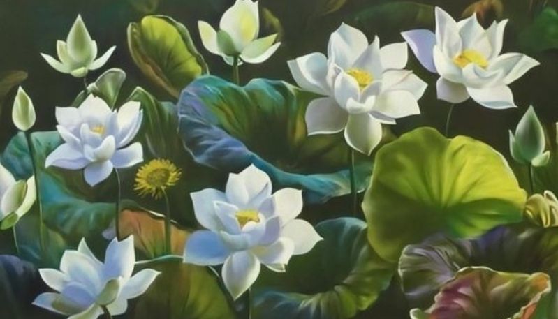 hình nền đầm sen
