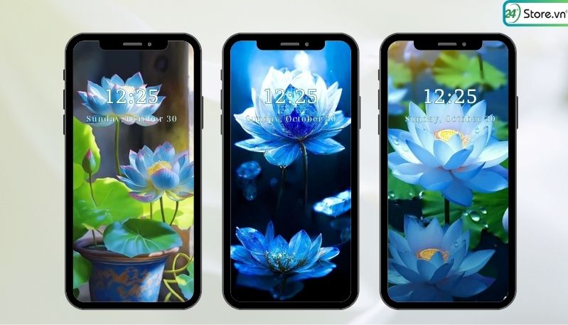 hình nền điện thoại