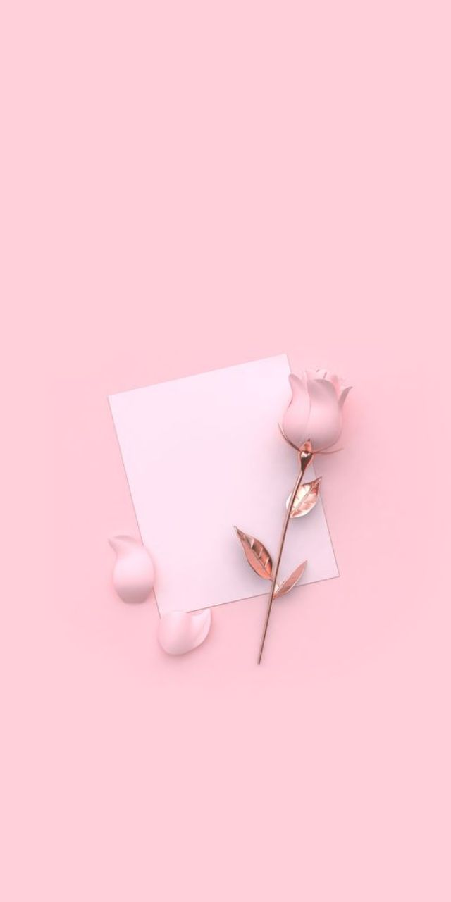 hình nền màu hồng hoa lá