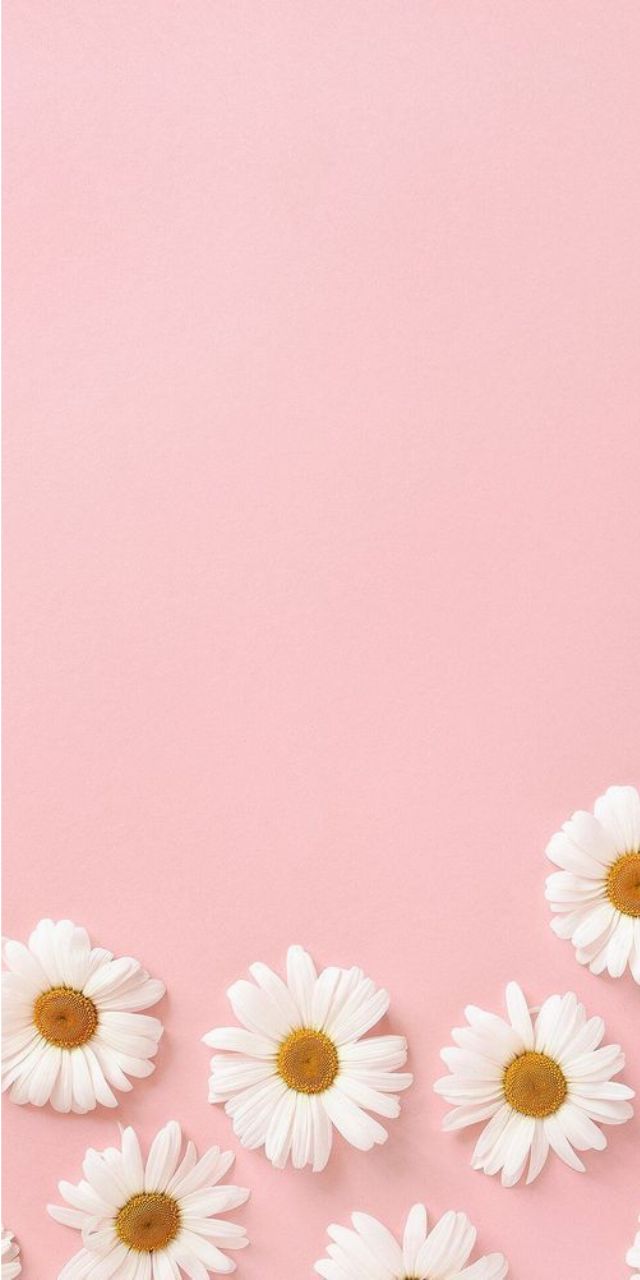 hình nền màu hồng pastel