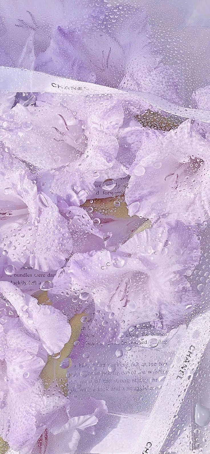 Hình nền màu tím pastel cực xinh