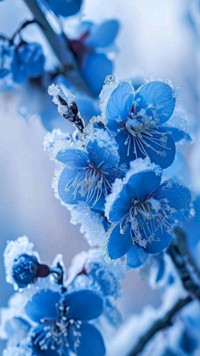 hình nền chủ đề hoa lá