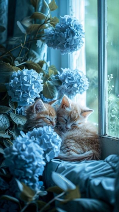 hình nền chủ đề hoa lá