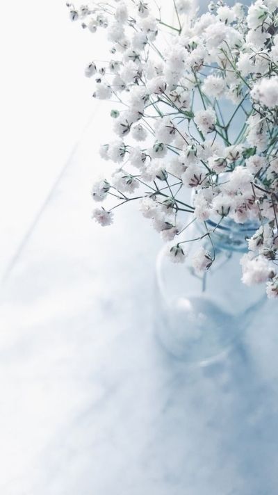 hình nền màu xanh dương kèm họa tiết