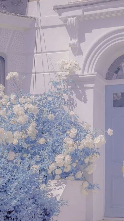 hình nền màu xanh dương pastel
