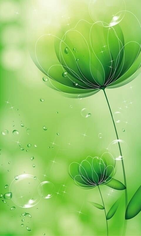hình nền màu xanh lá cây