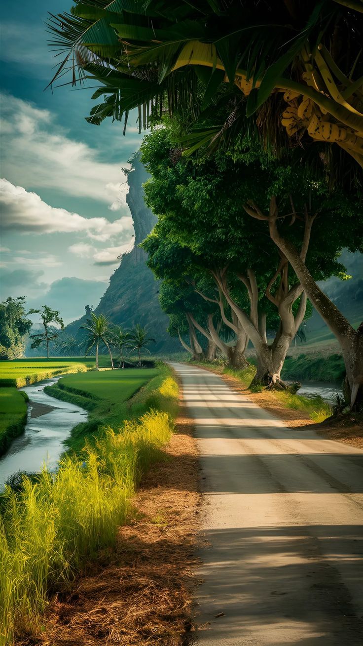 hình nền màu xanh lá cây