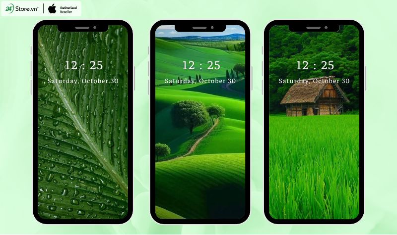 hình nền màu xanh lá 