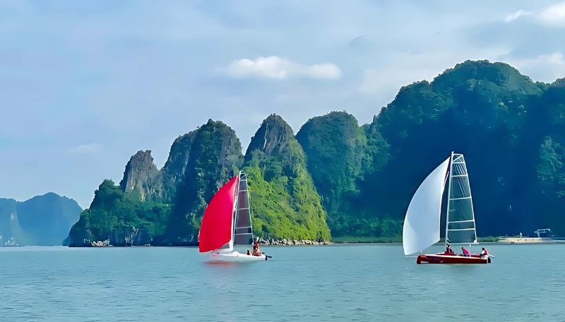 hình nền may mắn cho mệnh Thủy đẹp nhất