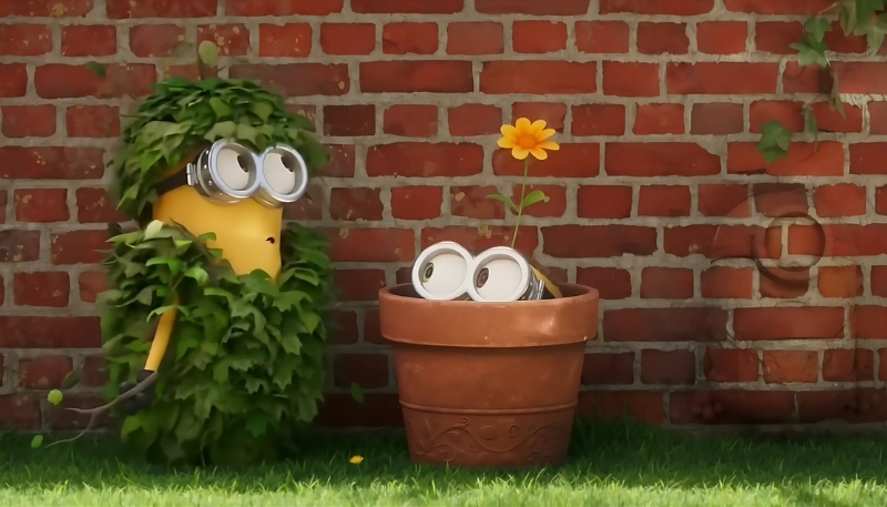 Hình Minions hài hước, ngốc nghếch năm 2022