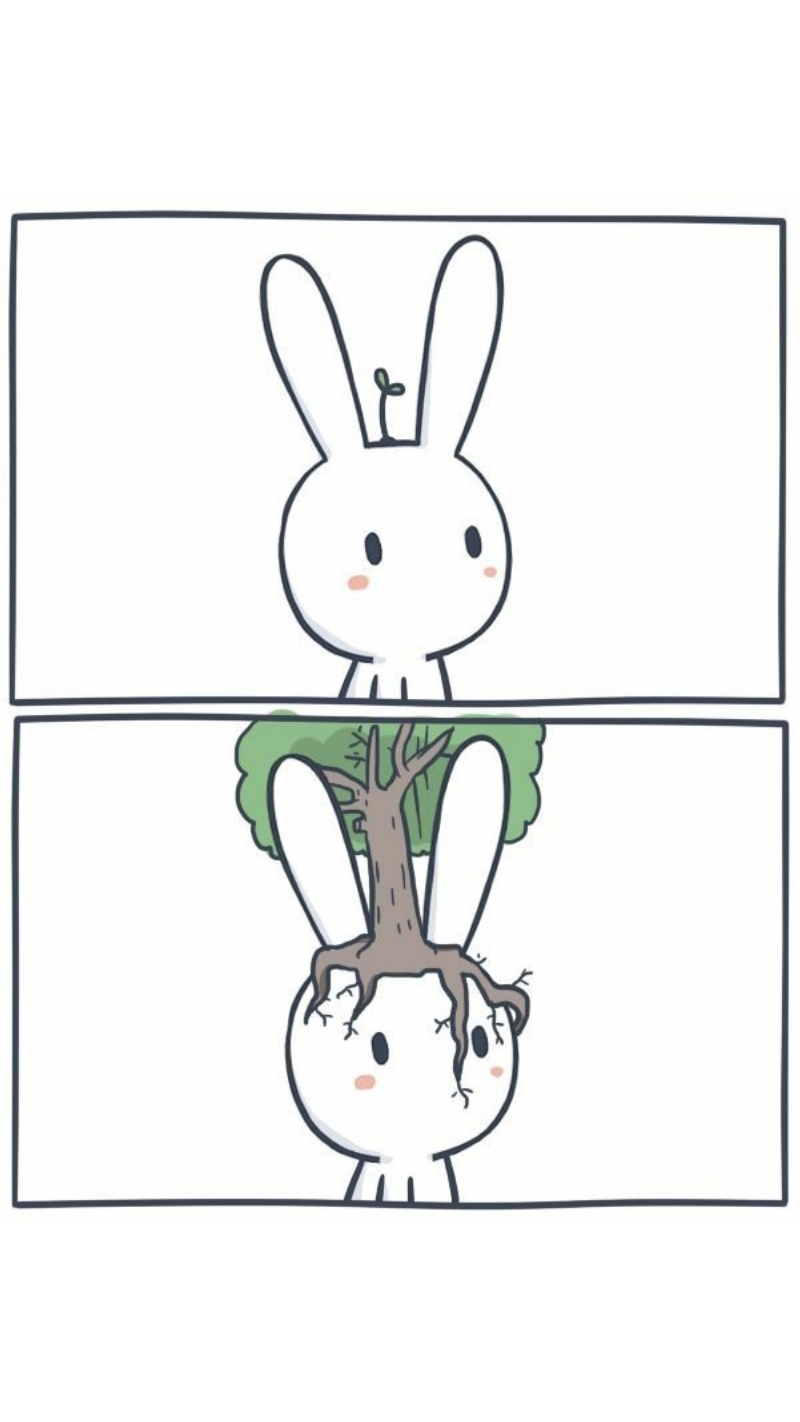 Ảnh meme thỏ 7 màu cute hài