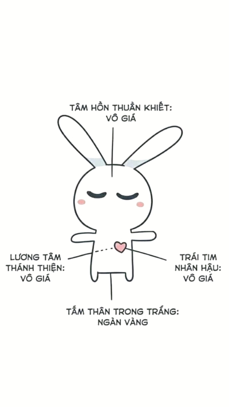 Hình meme thỏ 7 màu vui cực mạnh