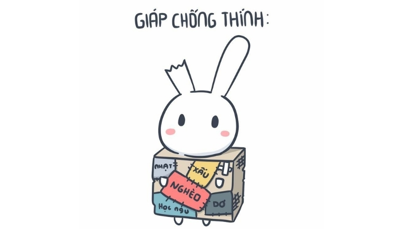 Ảnh meme thỏ 7 màu siêu độc đáo