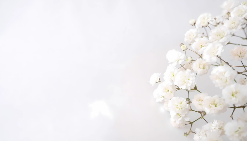 Hình nền trắng cho máy tính