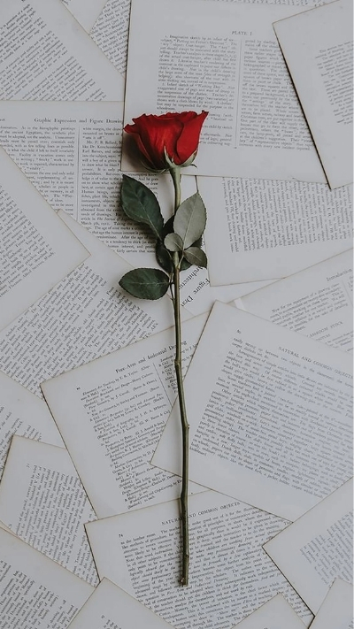 Hình nền 14-2 Valentine