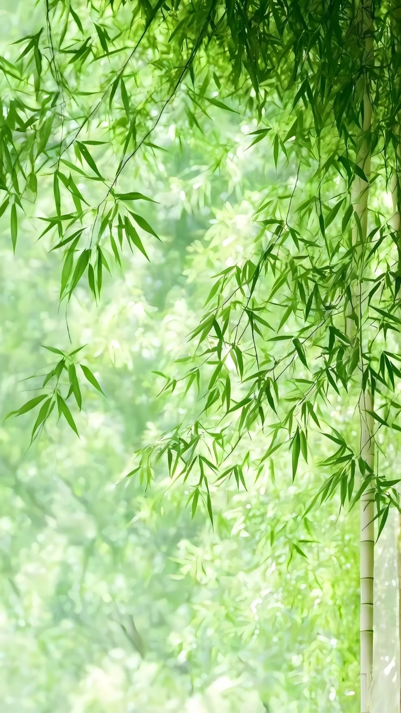 Ảnh nền zoom thiên nhiên tinh khiết