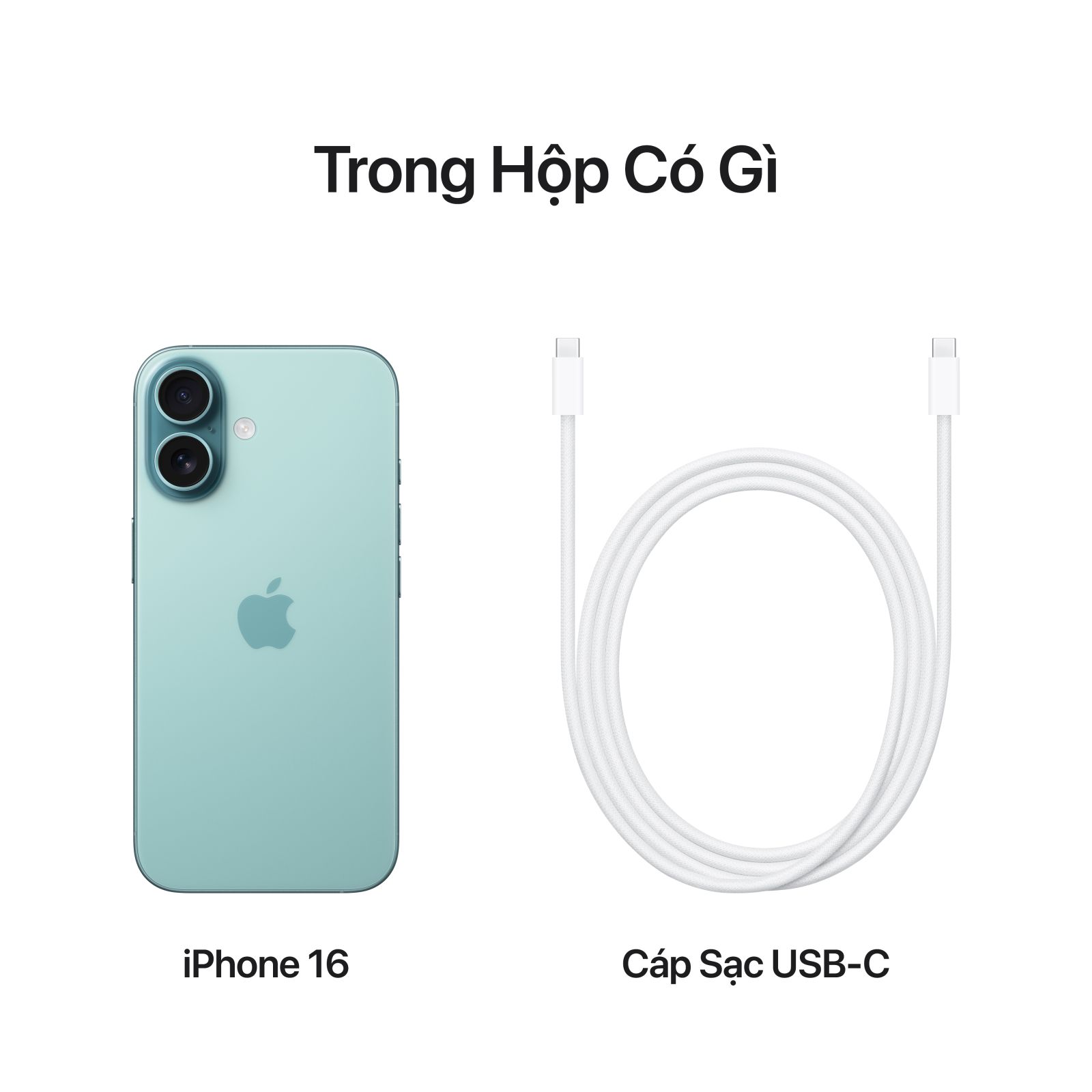 Các phụ kiện đi kèm khi mua iPhone 16 thường 128GB có gì?