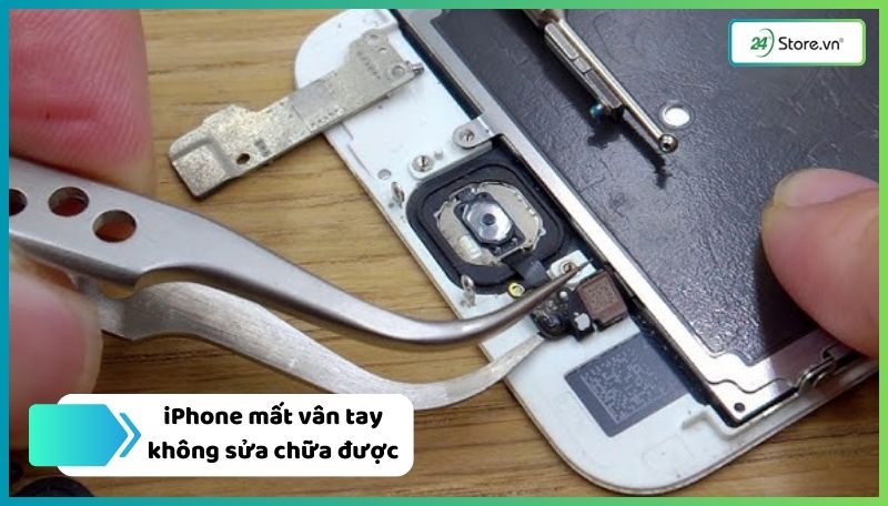 iPhone mất vân tay do lỗi của nhà sản xuất