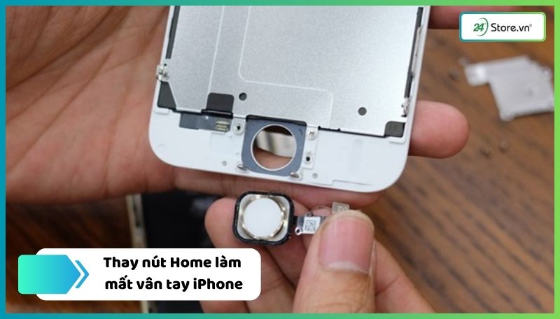 iPhone mất vân tay do dính nước