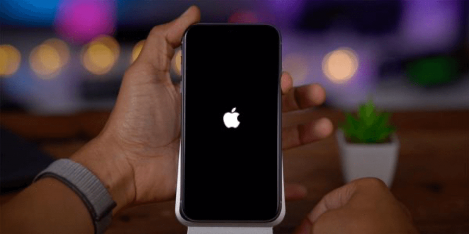 live text trên iphone