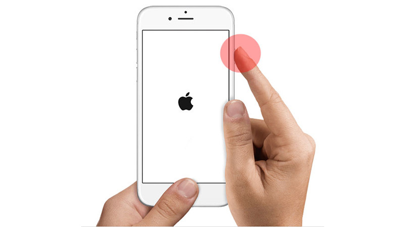live text trên iphone