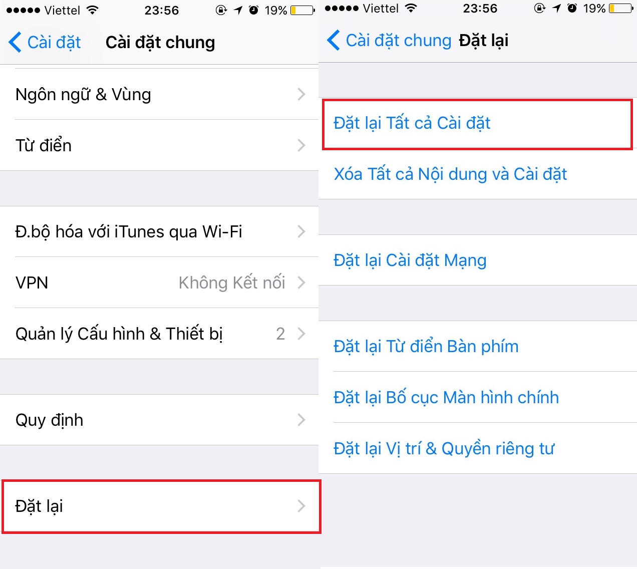 live text trên iphone