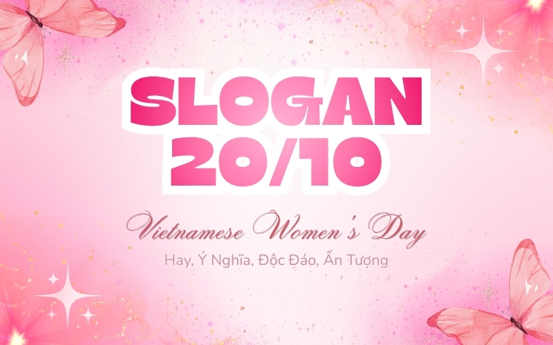 slogan 20/10 hay