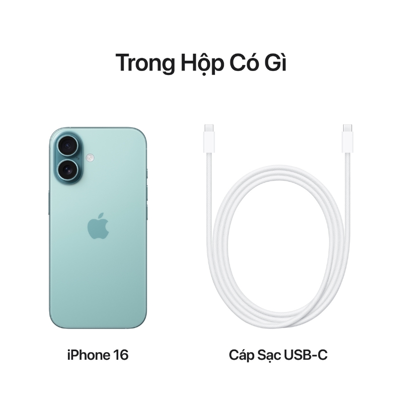 Nên mua iPhone 16 Plus hay iPhone 16 Pro?
