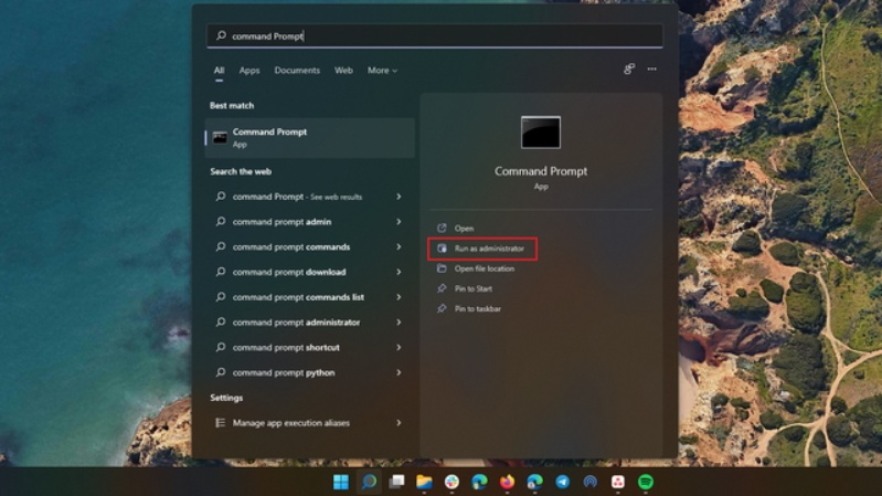 windows 11